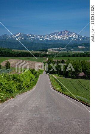 無電柱化の道 無電柱化の道 118513826