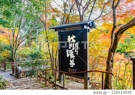 東京 紅葉に染まる秋川渓谷 石舟橋付近 東京 紅葉に染まる秋川渓谷 石舟橋付近 118513930
