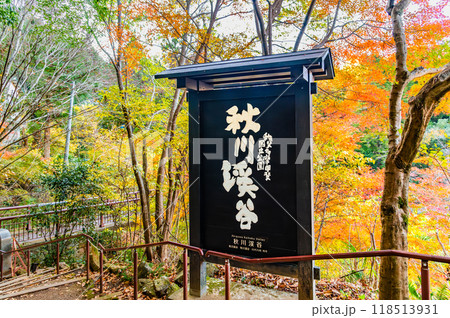 東京 紅葉に染まる秋川渓谷　石舟橋付近 118513931