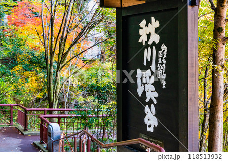 東京 紅葉に染まる秋川渓谷 石舟橋付近 東京 紅葉に染まる秋川渓谷 石舟橋付近 118513932