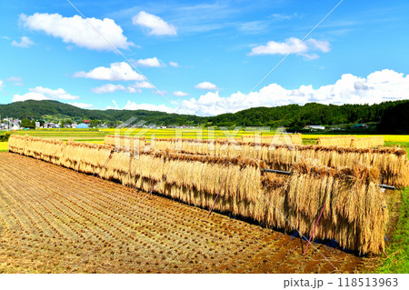 長野県飯綱町芋川周辺の風景(長野県飯綱町)【2024.9】 118513963