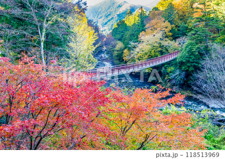 東京 紅葉に染まる秋川渓谷 石舟橋 東京 紅葉に染まる秋川渓谷 石舟橋 118513969