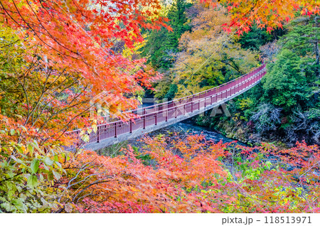 東京 紅葉に染まる秋川渓谷 石舟橋 東京 紅葉に染まる秋川渓谷 石舟橋 118513971