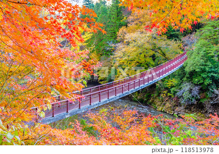 東京 紅葉に染まる秋川渓谷 石舟橋 東京 紅葉に染まる秋川渓谷 石舟橋 118513978