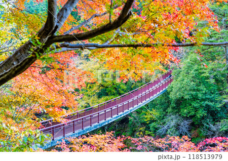 東京 紅葉に染まる秋川渓谷 石舟橋 東京 紅葉に染まる秋川渓谷 石舟橋 118513979
