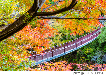東京 紅葉に染まる秋川渓谷 石舟橋 東京 紅葉に染まる秋川渓谷 石舟橋 118513981