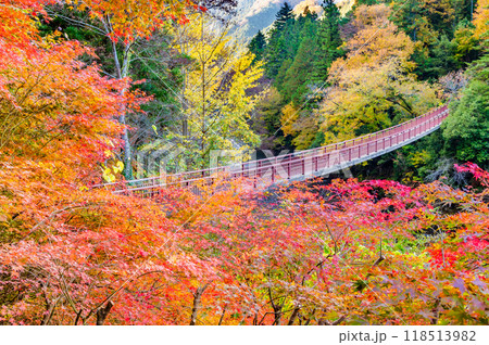 東京 紅葉に染まる秋川渓谷 石舟橋 東京 紅葉に染まる秋川渓谷 石舟橋 118513982