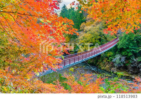 東京 紅葉に染まる秋川渓谷　石舟橋 118513983