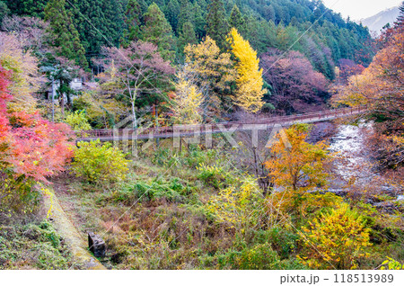 東京 紅葉に染まる秋川渓谷　石舟橋 118513989
