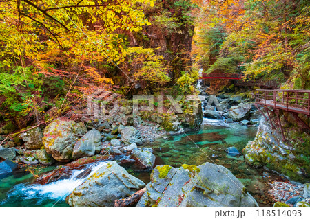 巌立峡(秋) 巌立峡(秋) 118514093