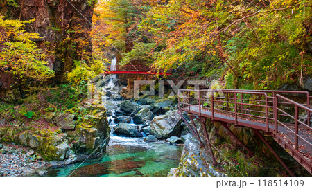 巌立峡(秋) 巌立峡(秋) 118514109