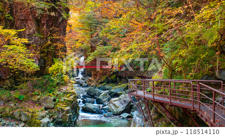 巌立峡(秋) 巌立峡(秋) 118514110