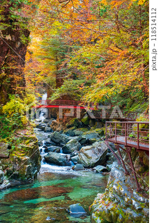 巌立峡（秋） 118514112