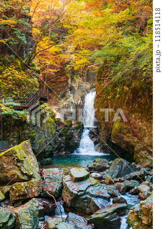 巌立峡（秋）：三ッ滝 118514118