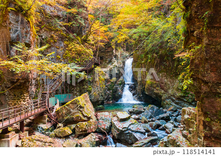 巌立峡（秋）：三ッ滝 118514141