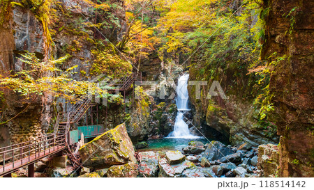 巌立峡(秋):三ッ滝 巌立峡(秋):三ッ滝 118514142