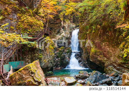 巌立峡(秋):三ッ滝 巌立峡(秋):三ッ滝 118514144