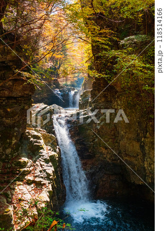 巌立峡(秋):三ッ滝 巌立峡(秋):三ッ滝 118514166