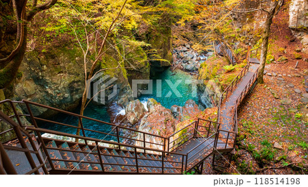 巌立峡(秋) 巌立峡(秋) 118514198
