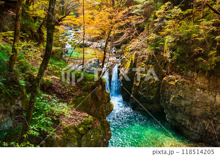 巌立峡(秋) 巌立峡(秋) 118514205