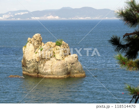 rock on the sea rock on the sea 118514470