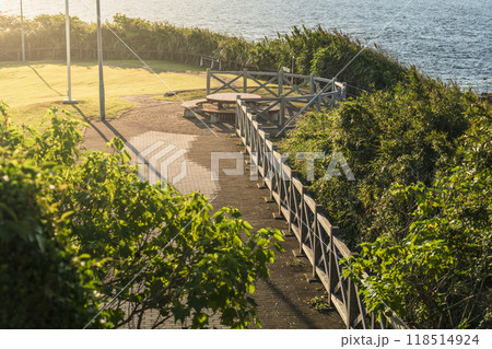 神奈川県立城ヶ島公園、朝日に照らされる「安房ヶ崎」の風景【神奈川県・三浦市】 神奈川県立城ヶ島公園、朝日に照らされる「安房ヶ崎」の風景【神奈川県・三浦市】 118514924