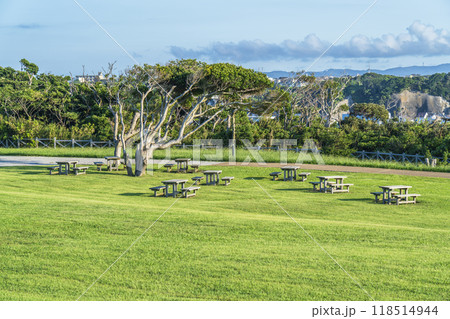 神奈川県立城ヶ島公園「うみのね広場」の風景【神奈川県・三浦市】 神奈川県立城ヶ島公園「うみのね広場」の風景【神奈川県・三浦市】 118514944