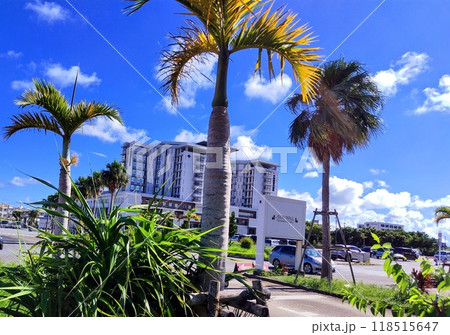 沖縄ライカムのヤシ並木 沖縄ライカムのヤシ並木 118515647