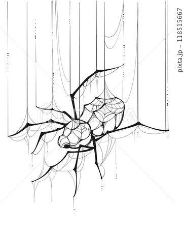 Spider web outline hang weave net concept drawing holiday halloween Spider web outline hang weave net concept drawing holiday halloween 118515667