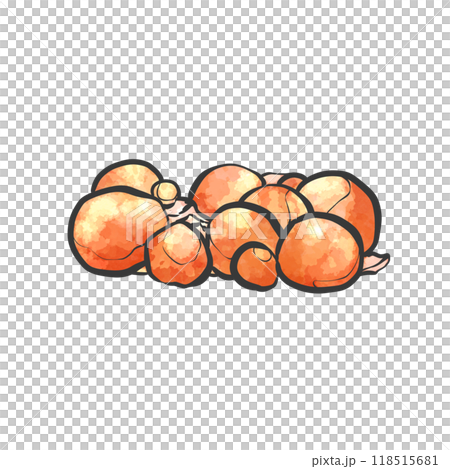 鶏きんかんの手描き筆絵風イラスト 118515681