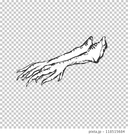 Hand-drawn illustration of a chicken maple tree Hand-drawn illustration of a chicken maple tree 118515684