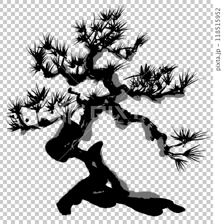 Pine bonsai handwritten brush illustration 118515952