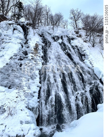 知床のオシンコシンの滝　雪景色 118516085