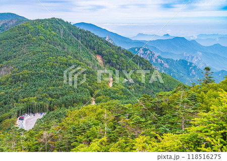 【山梨県】国師ヶ岳 夢の庭園 夏 【山梨県】国師ヶ岳 夢の庭園 夏 118516275