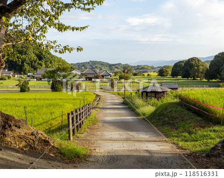 明日香村の橘寺より見る棚田の風景 118516331