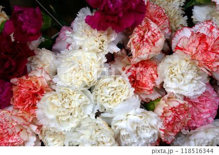花屋さんの店頭に並ぶ色とりどりの花 花屋さんの店頭に並ぶ色とりどりの花 118516344