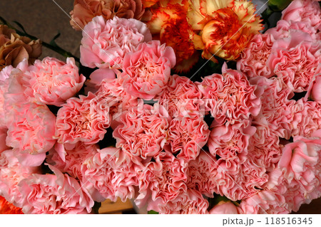 花屋さんの店頭に並ぶ色とりどりの花 花屋さんの店頭に並ぶ色とりどりの花 118516345