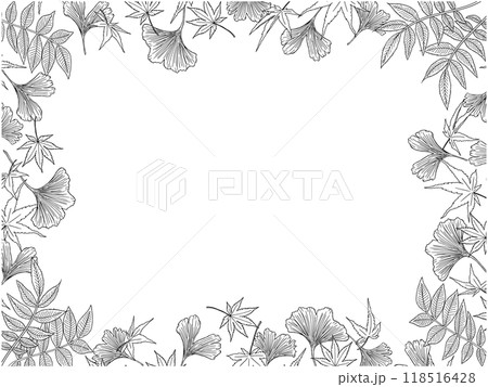 秋の植物の線画フレーム①黒 118516428