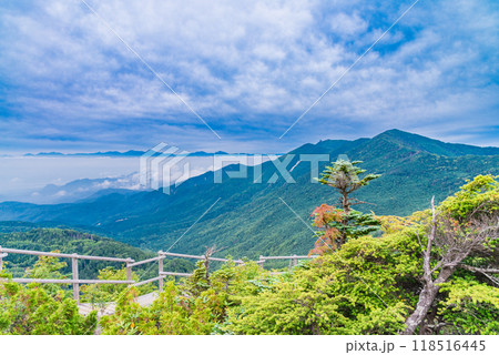 【山梨県】夏の国師ヶ岳　夢の庭園から金峰山方面の展望 118516445