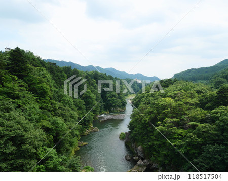 緑に囲まれた鬼怒川｜鬼怒楯岩大吊橋 118517504