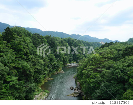 緑に囲まれた鬼怒川｜鬼怒楯岩大吊橋 118517505