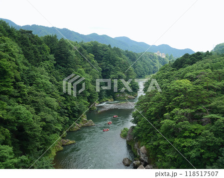 緑に囲まれた鬼怒川｜鬼怒楯岩大吊橋 118517507