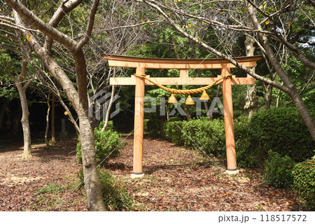 セントレアを臨む高砂山公園 118517572