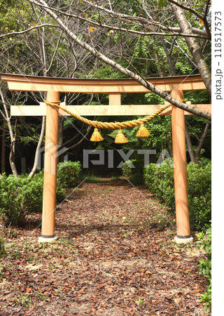 セントレアを臨む高砂山公園 118517573
