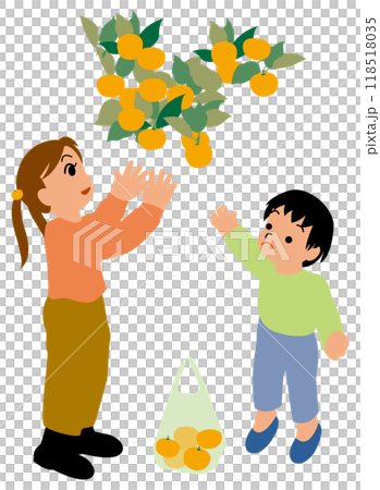 體驗摘式橘子的孩子插畫03 118518035