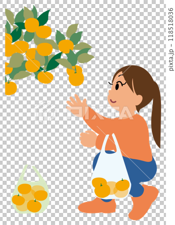Illustration of children experiencing mandarin orange picking 02 Illustration of children experiencing mandarin orange picking 02 118518036