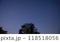 木と星空 118518056