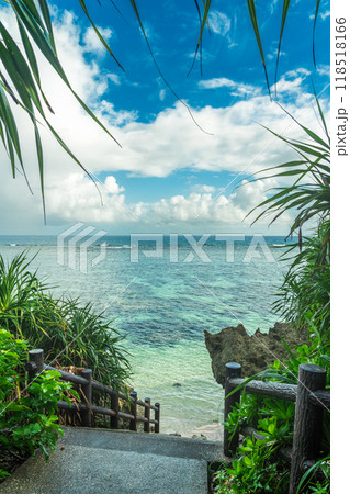 伊良部島シンビジの絶景 伊良部島シンビジの絶景 118518166