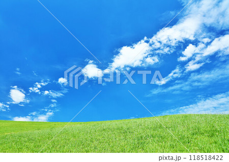 爽やかな夏の青空と新緑の草原風景 爽やかな夏の青空と新緑の草原風景 118518422
