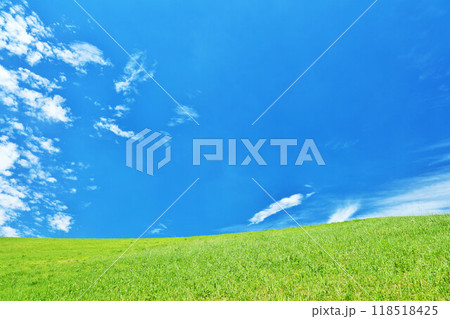 爽やかな夏の青空と新緑の草原風景 爽やかな夏の青空と新緑の草原風景 118518425